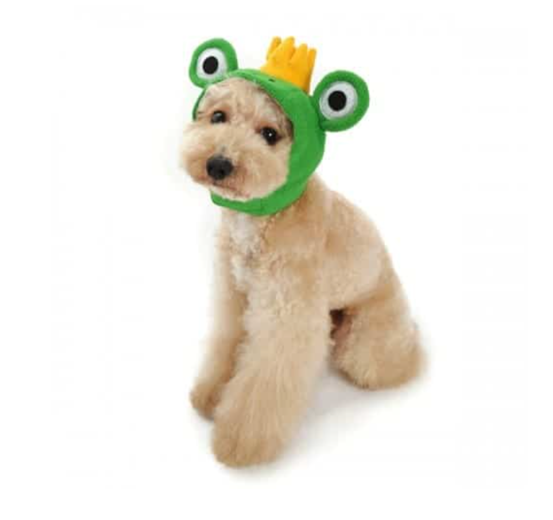 Prince Frog Dog Hat