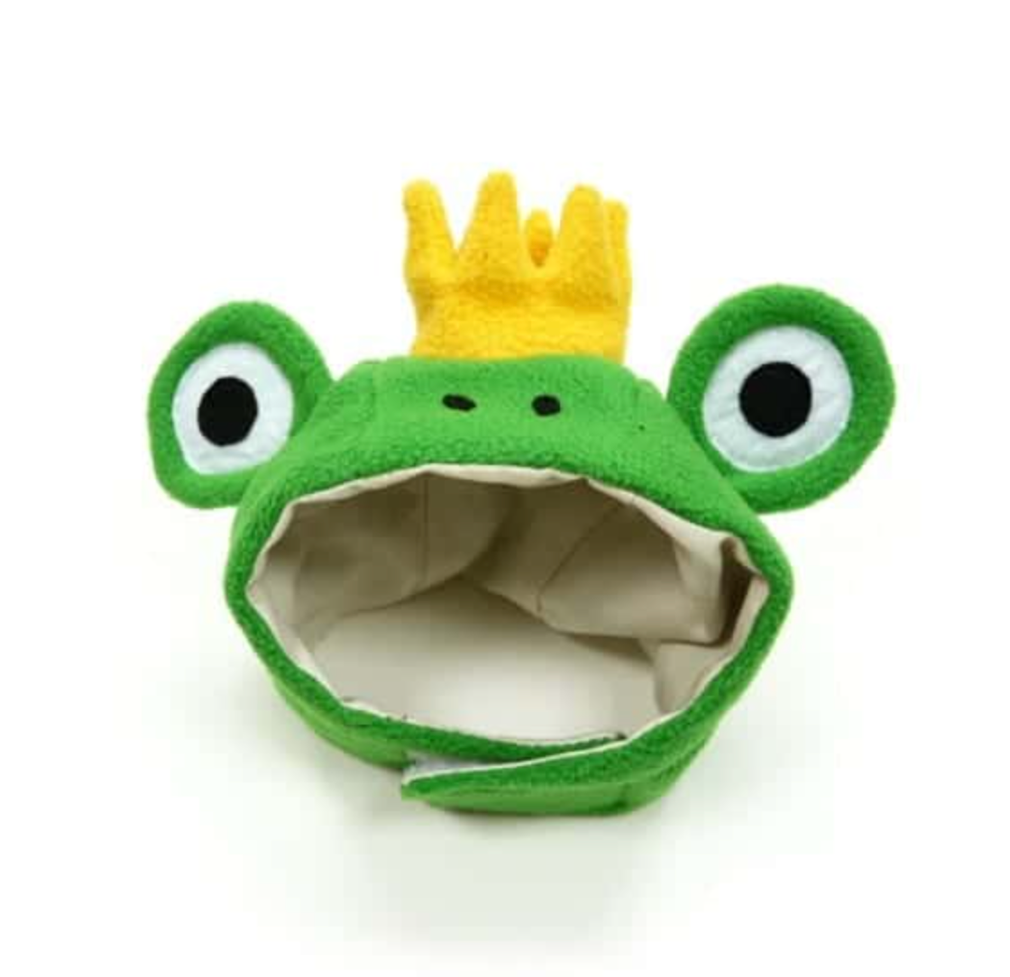Prince Frog Dog Hat