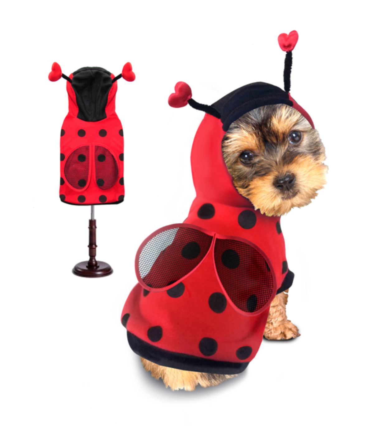 Lady Bug Hoodie Costume