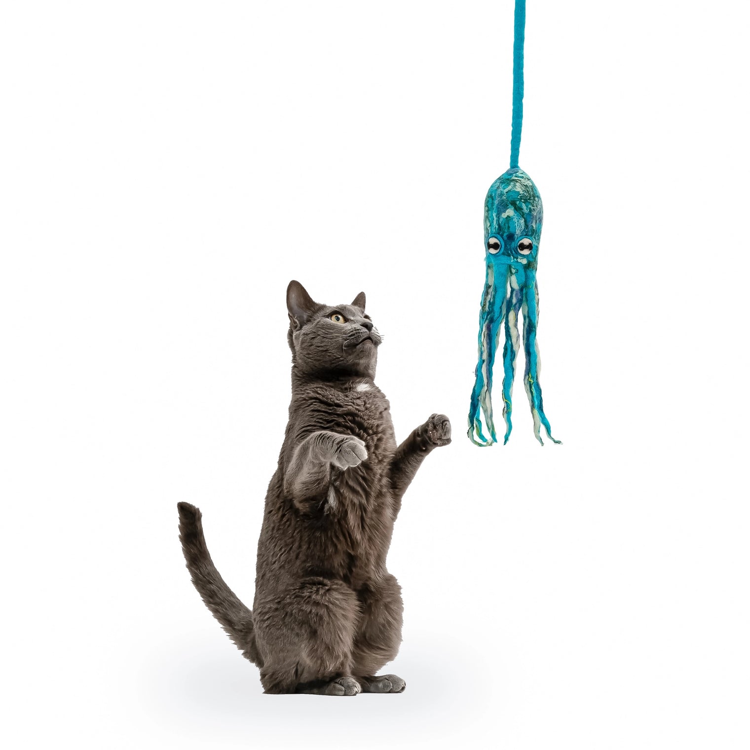 Ink Floyd Cat Toy with 4-Foot Tether