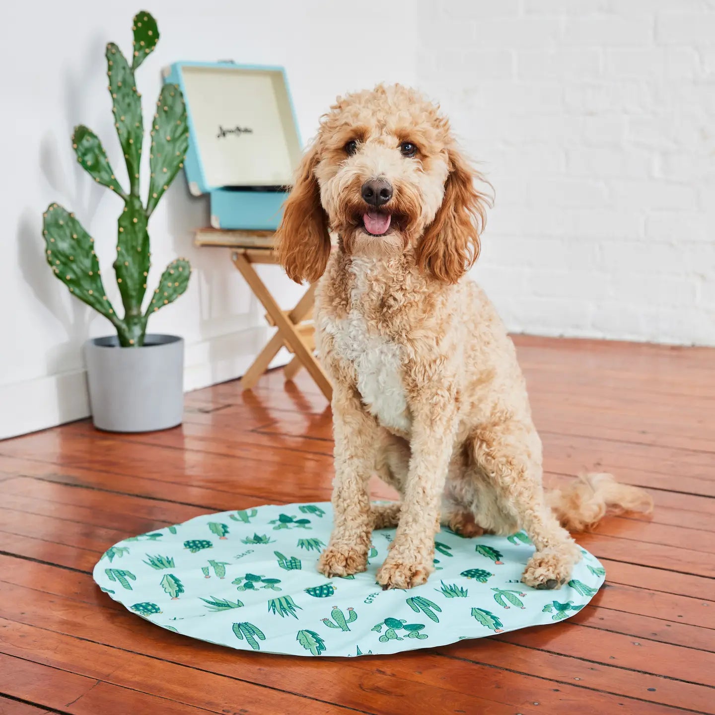 Pet Ice Cooling Mat