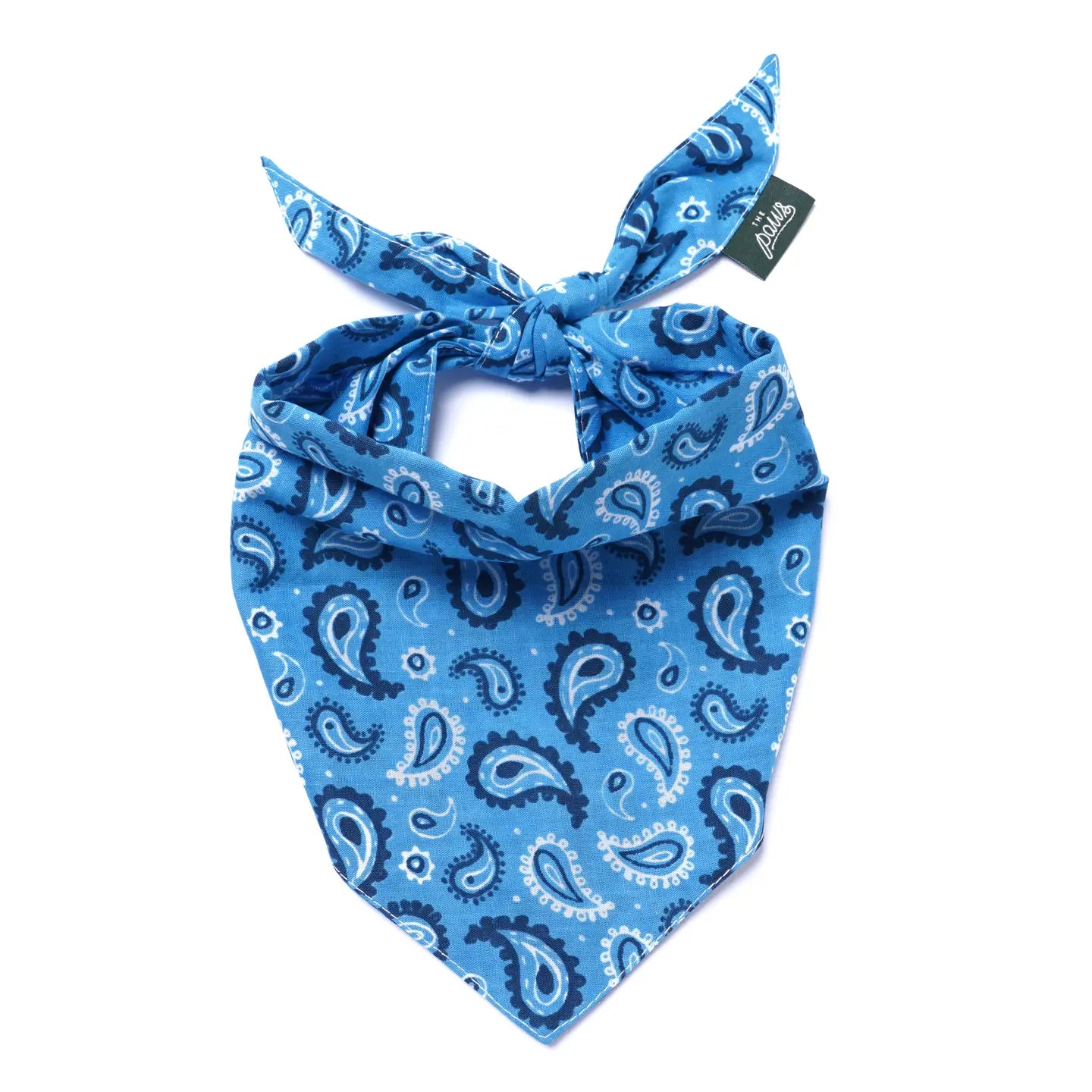 Blue Paisley Bandana, 3 Sizes