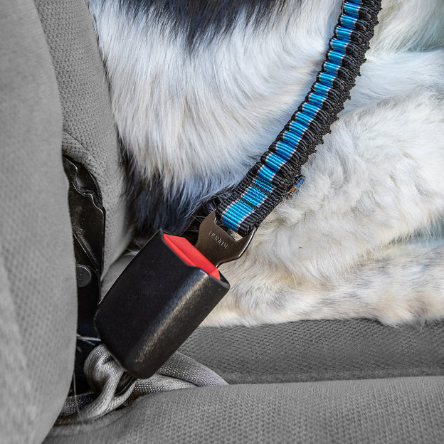 Bungee Seatbelt Tether