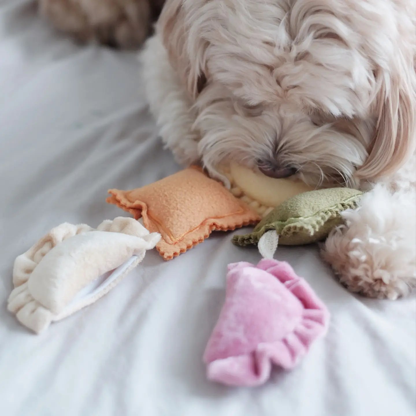 Ravioli Crinkle Nosework Toy