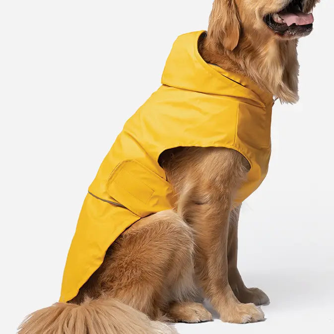 Silver Paw Sun Yellow Raincoat