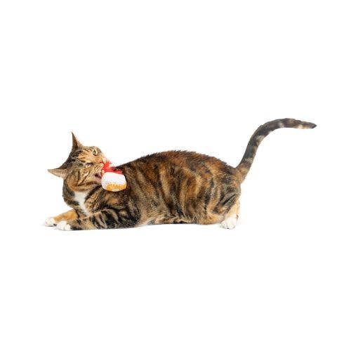G-House Cat Toy