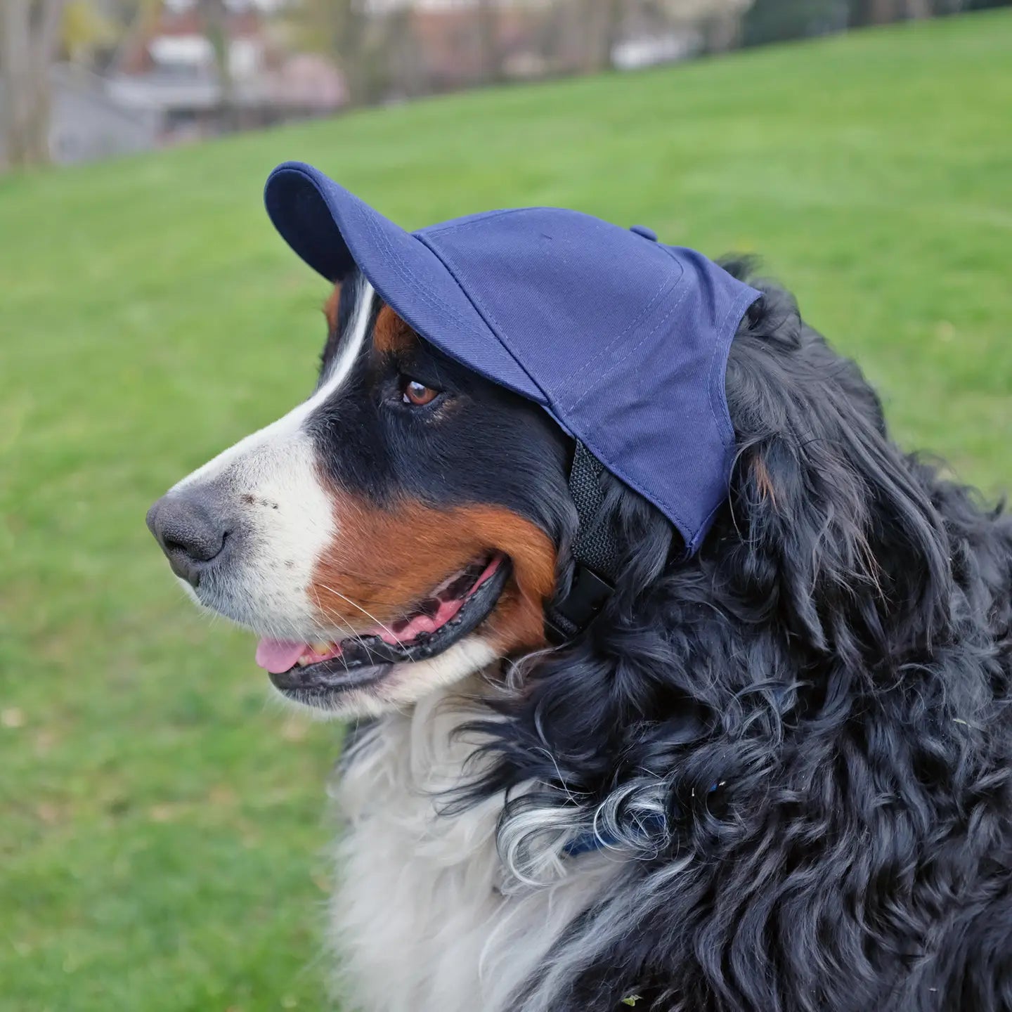NY Yankees Baseball Hat