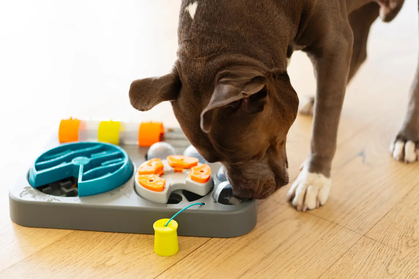 Flip'n Slide Puzzler, Large Dog Puzzle