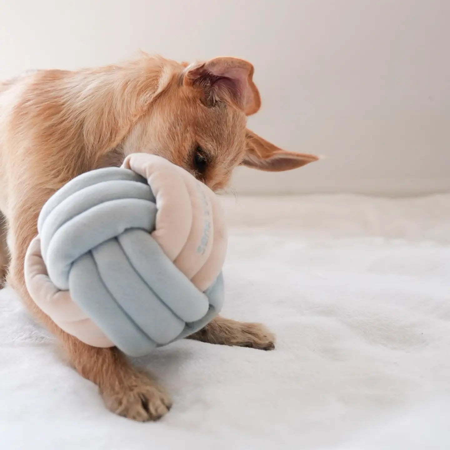 Snuffle Knot Nosework Toy