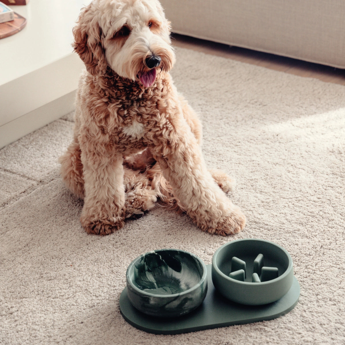 Classic Dog Bowl Serving Tray, 4 Colors