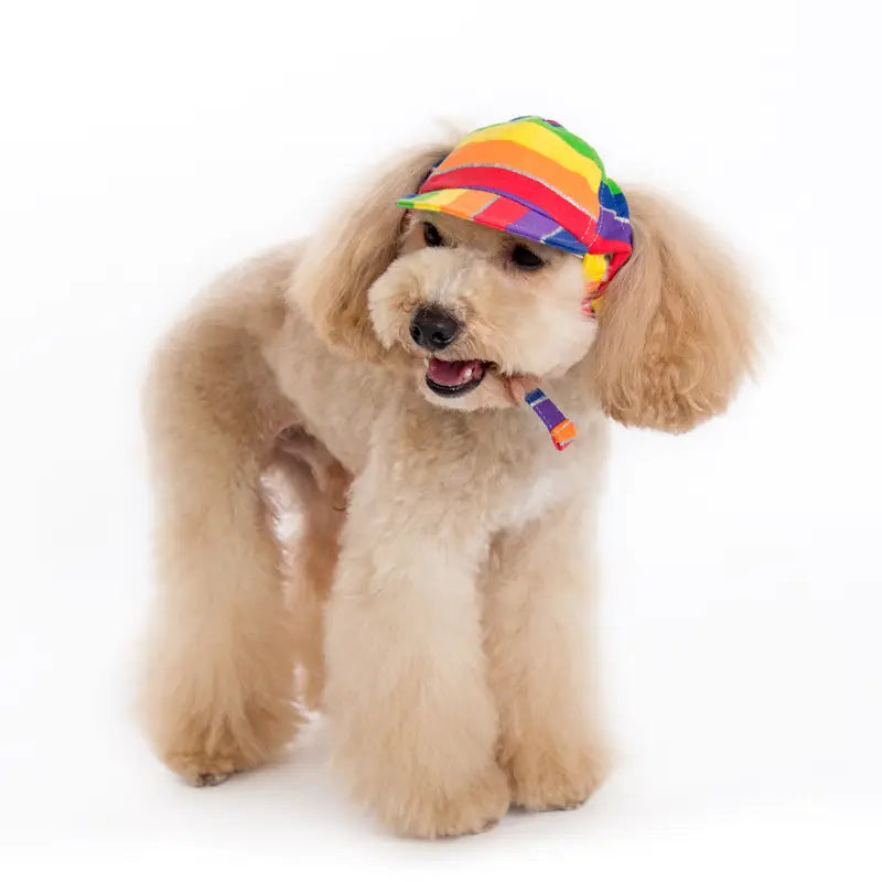 Rainbow Strap Hat