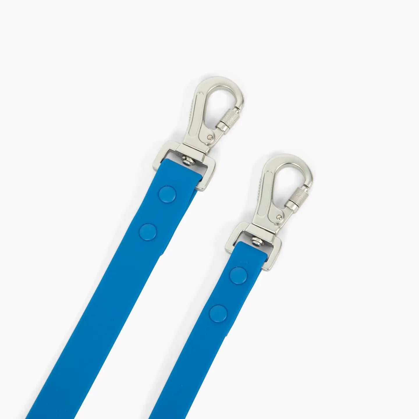 Indie Everyday Pvc Leash