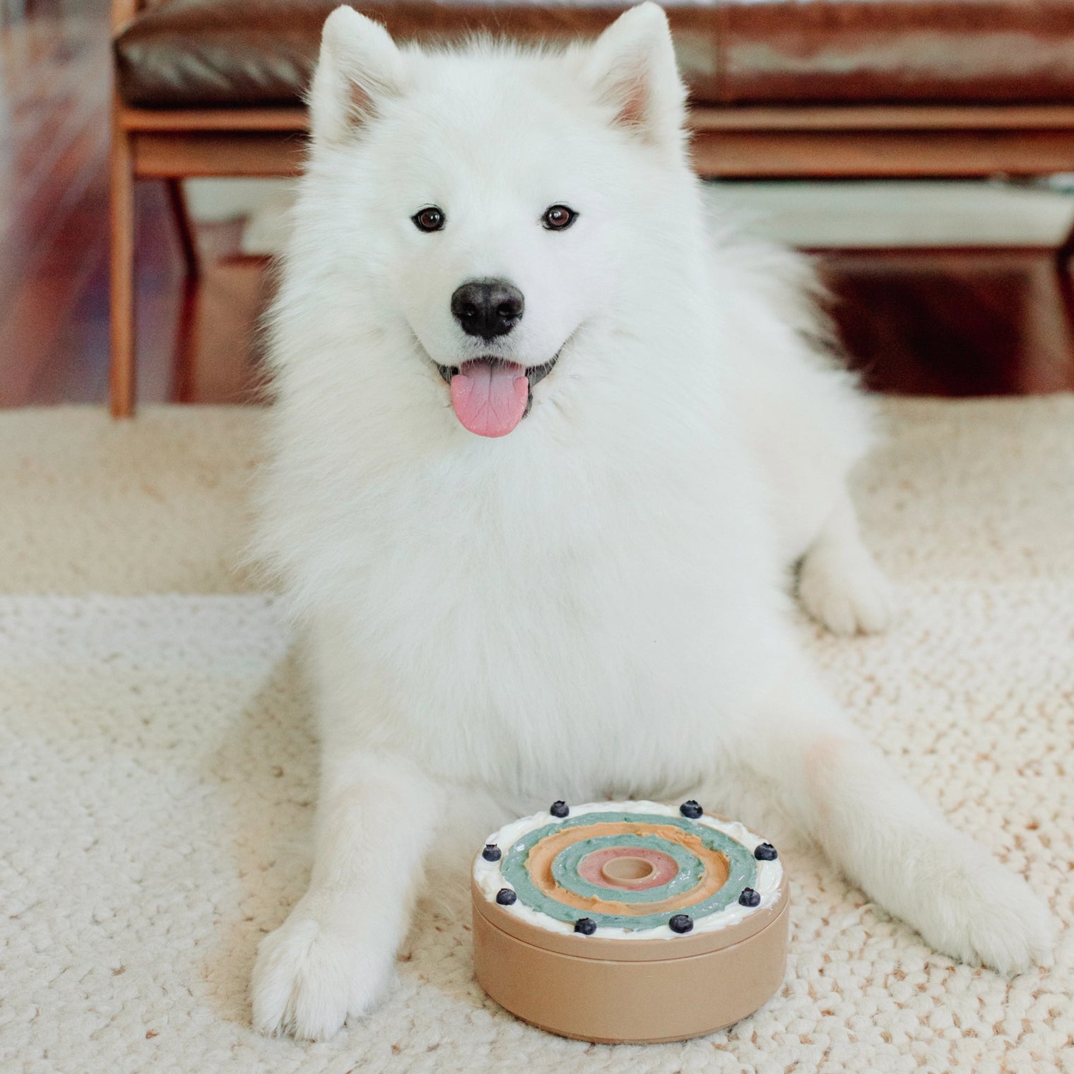 3 in 1 Bento Bowl, 2 colors