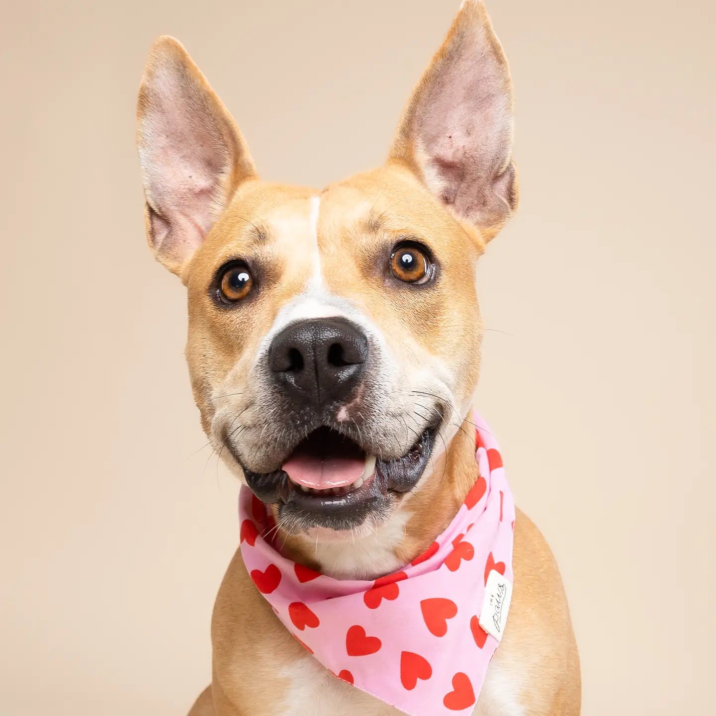 Red Hearts Bandana, 3 Sizes