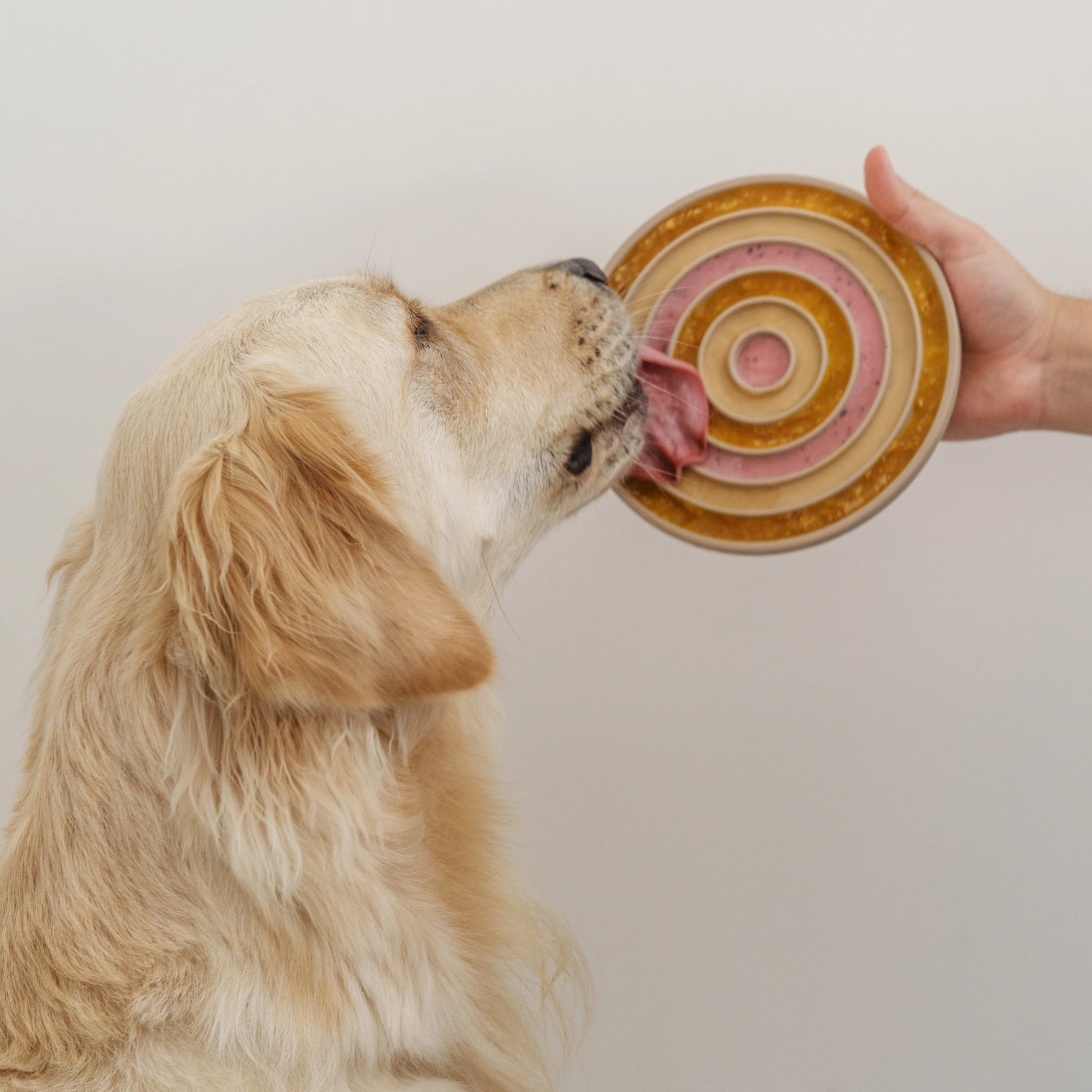 3 in 1 Bento Bowl, 2 colors