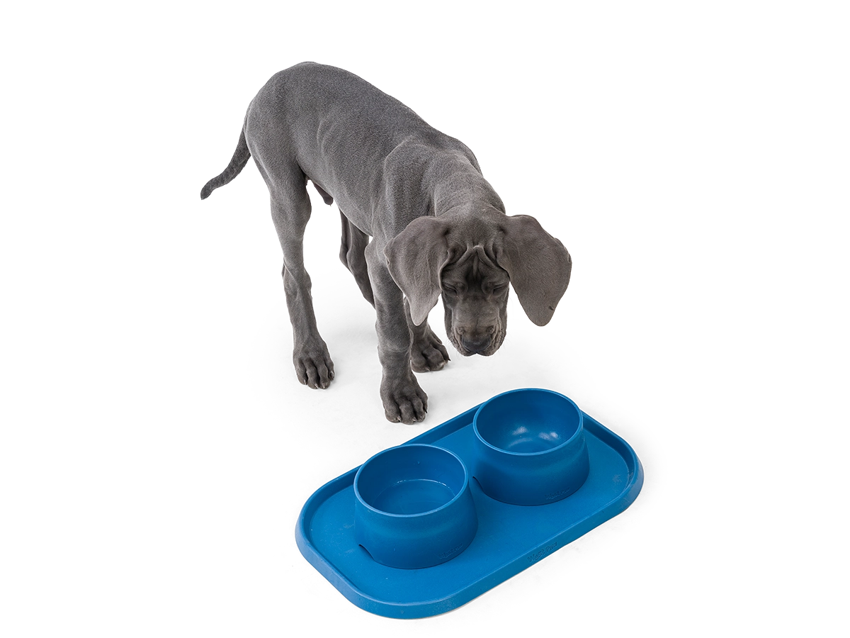 No Slip Dog Feeding Placemats