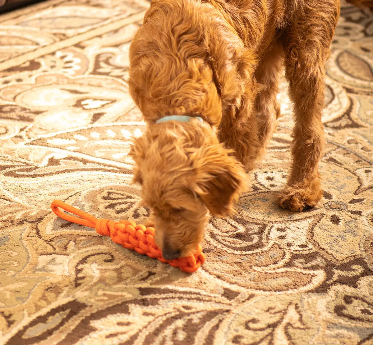 Knotted Stick Rope Dog Toy Orange 11"