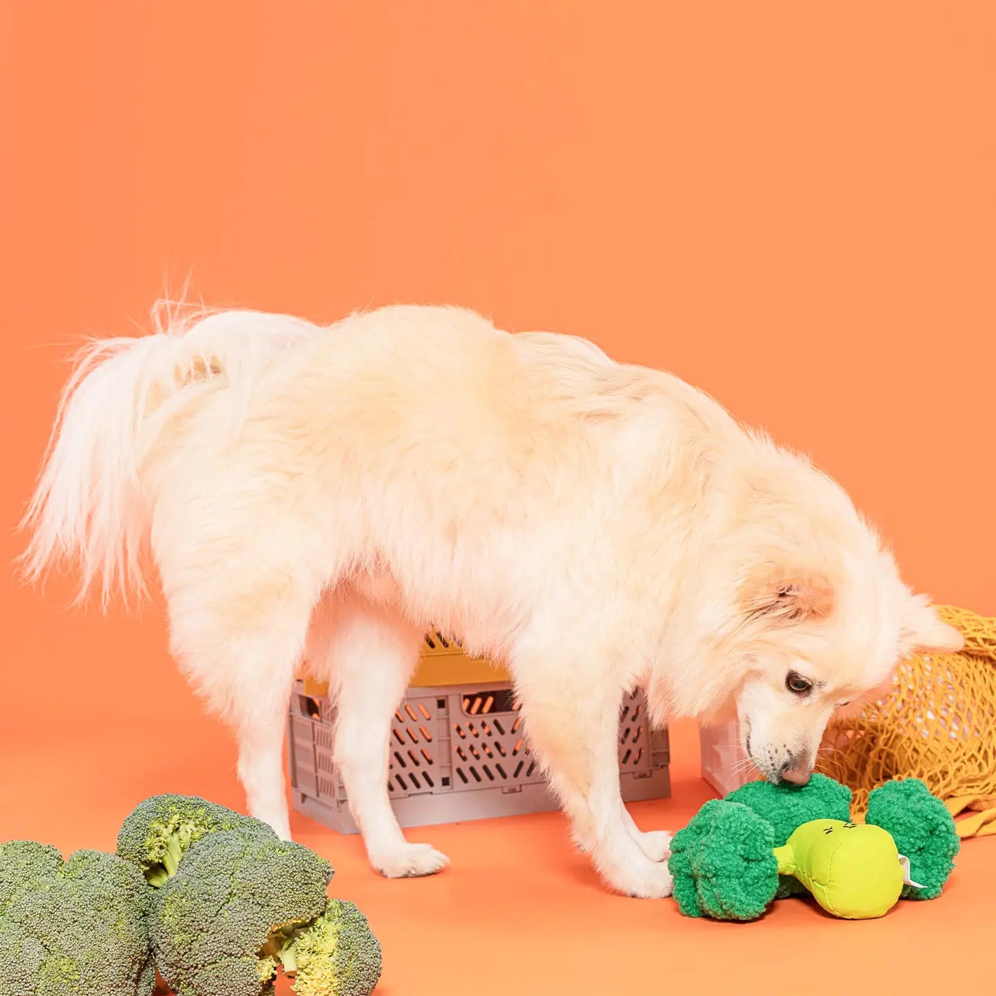 Snuffle Broccoli Nosework Toy