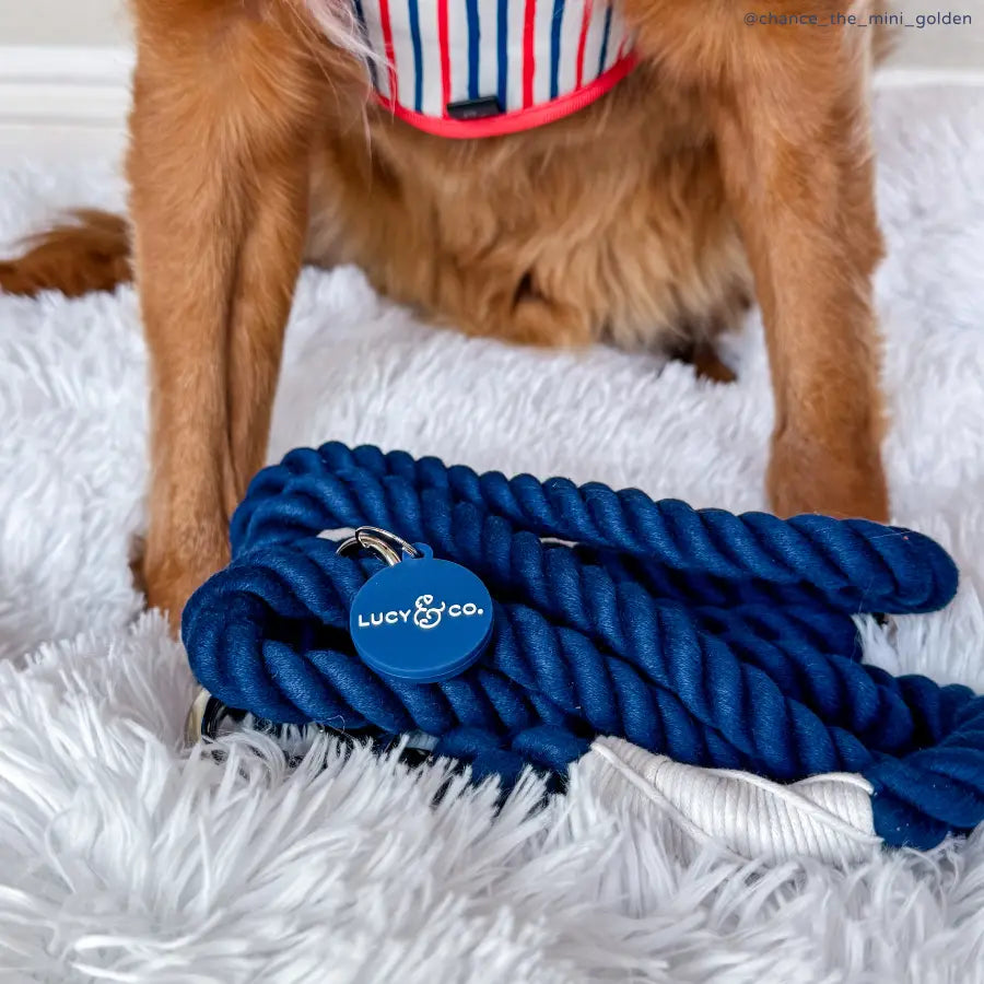 Lucy Navy Hands Free Rope Leash