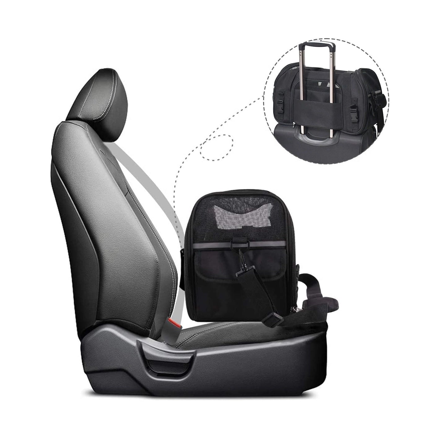 Soft Sided Pet Airline Carrier Black, 17"