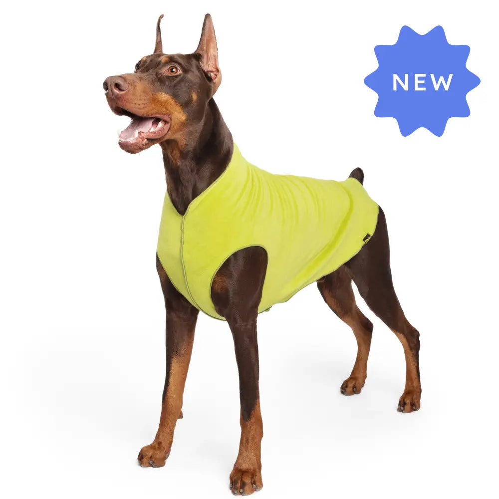 Stretch Fleece - Avocado