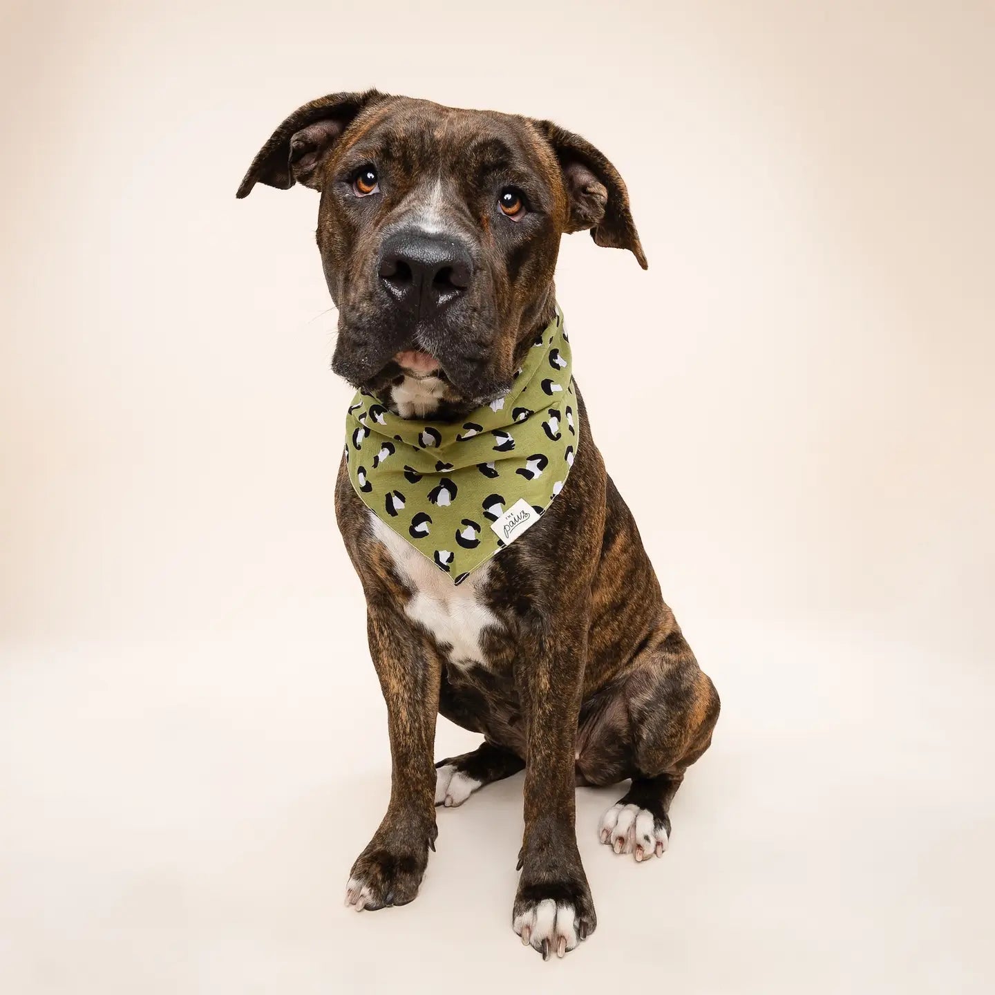 Olive Leopard Bandana, 3 Sizes