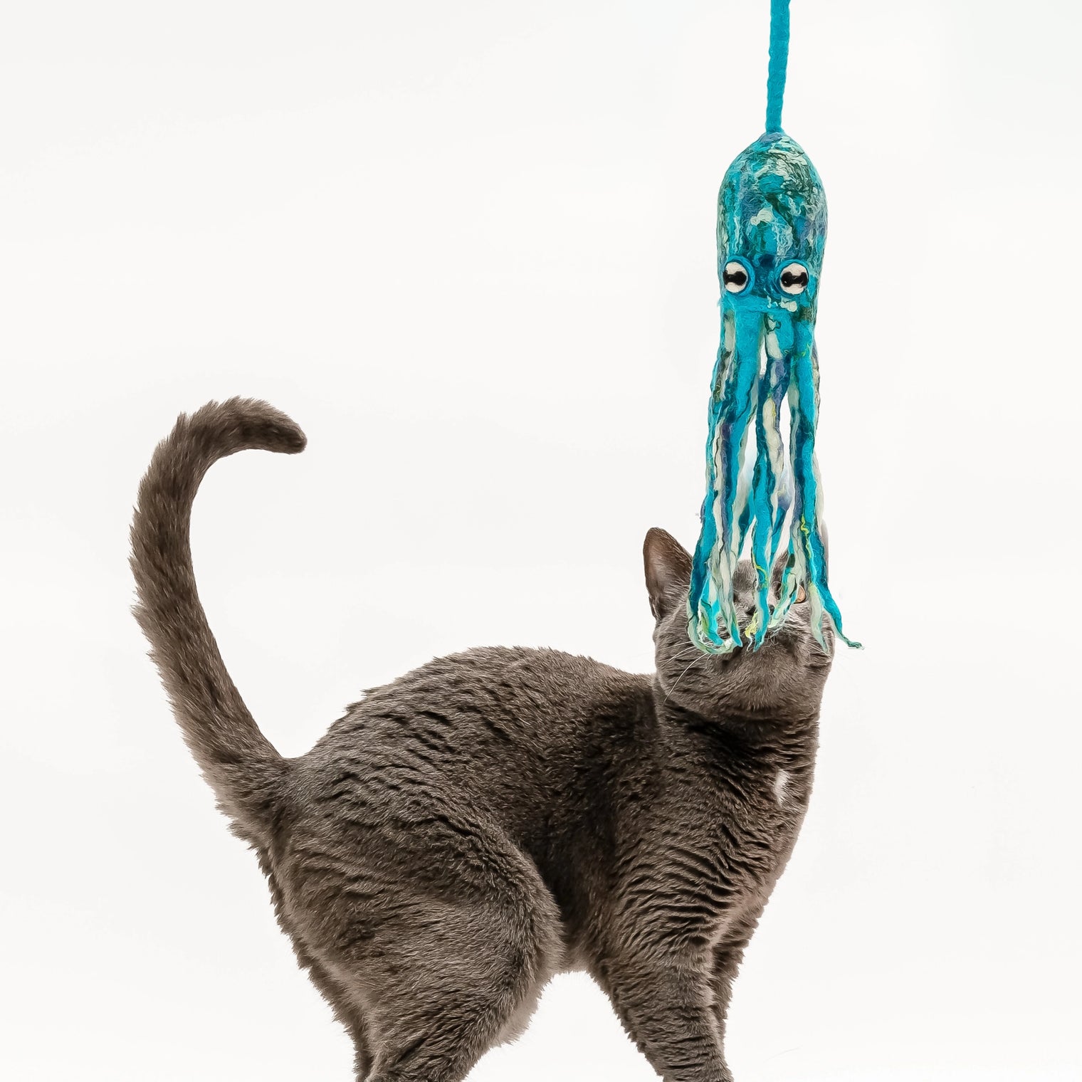 Ink Floyd Cat Toy with 4-Foot Tether