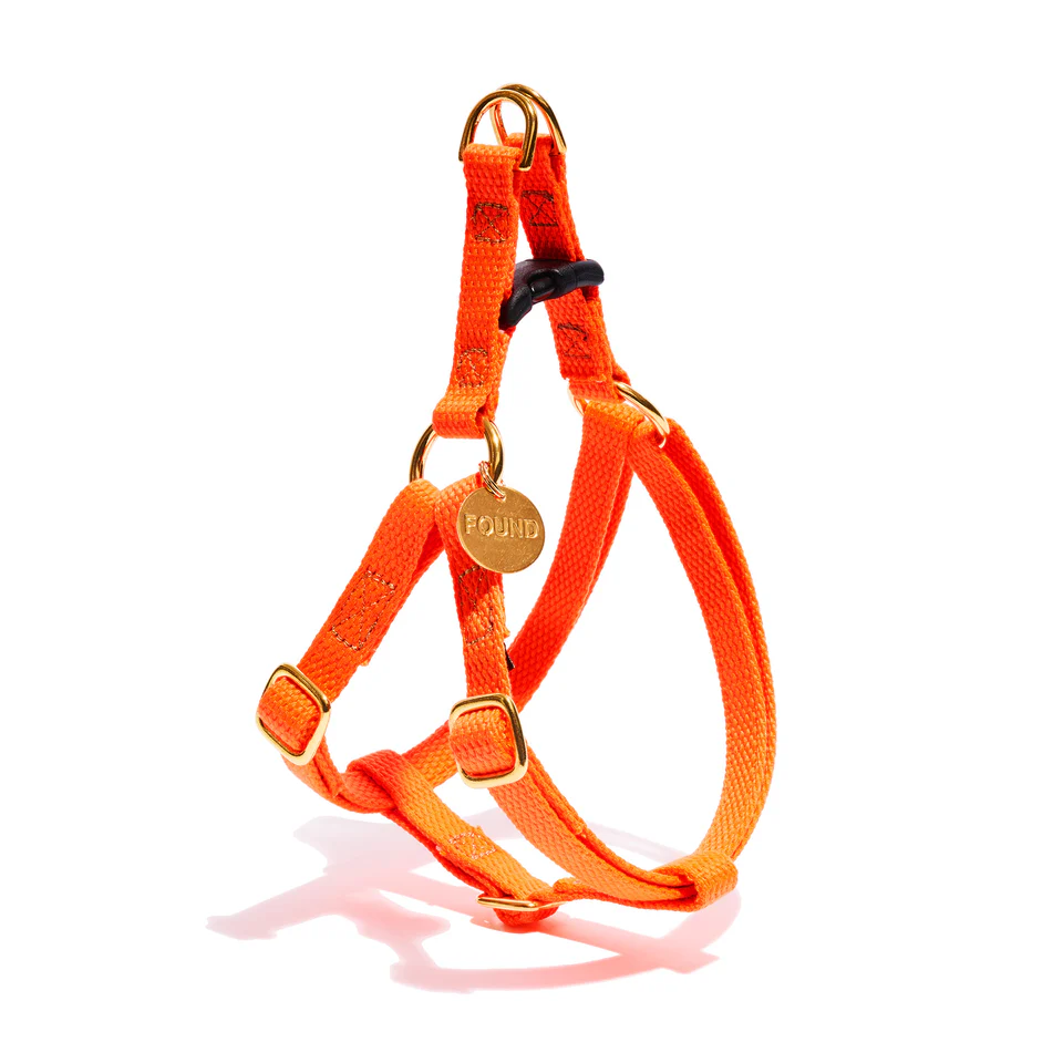 Found Classic Cotton Harness | Orange