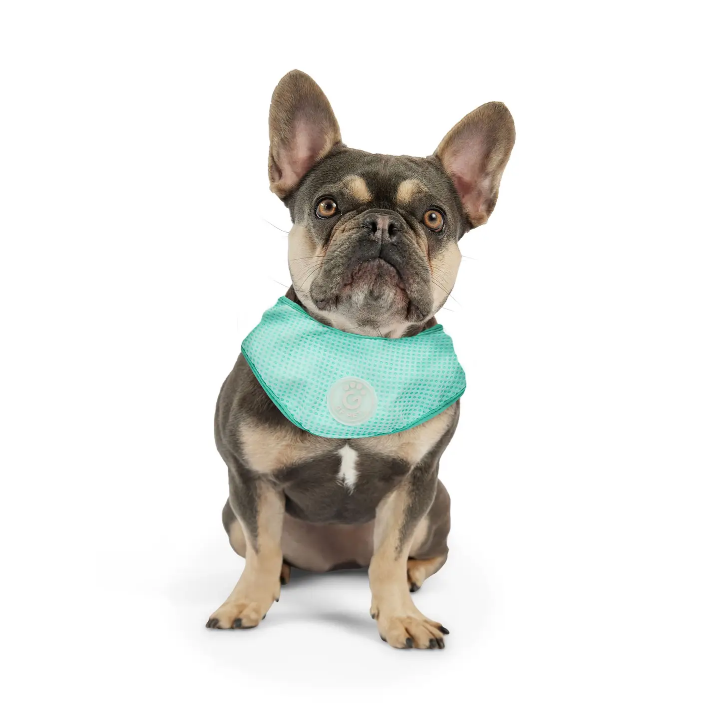 Ice Band - Dog Cooling Bandana - Aqua