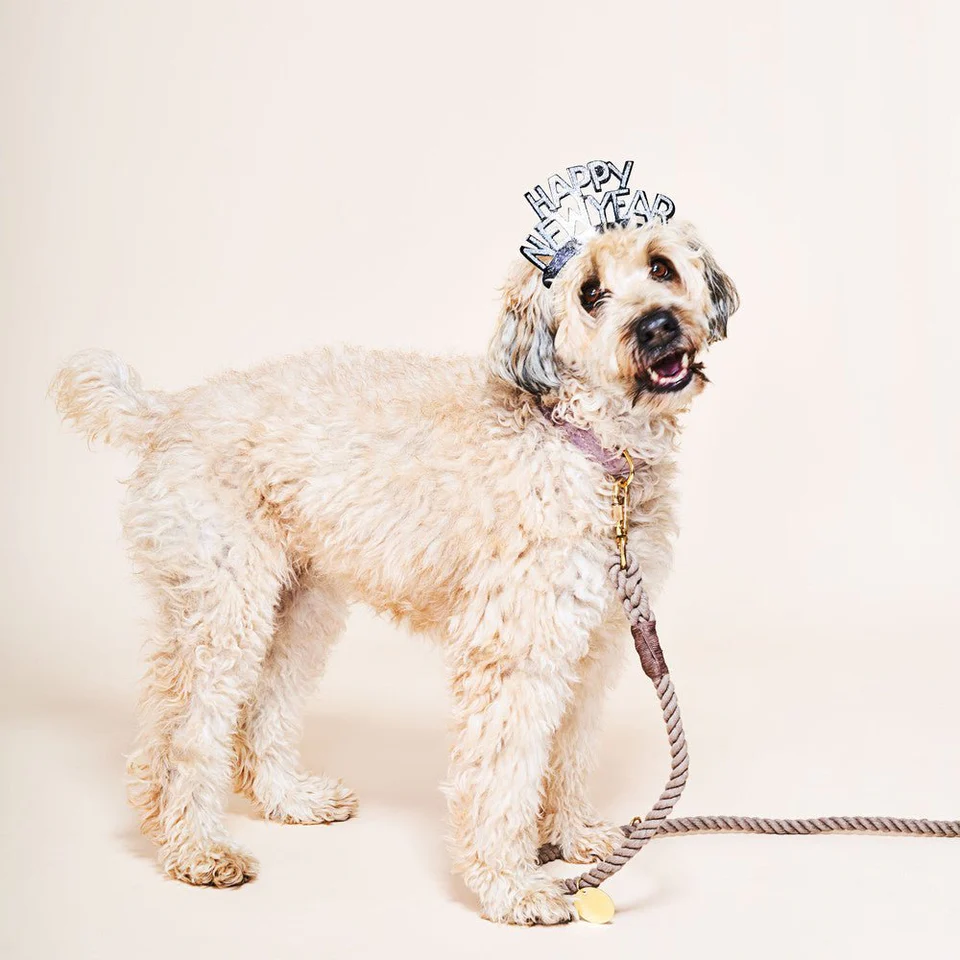 Found Hands Free Adjustable Rope Leash | Dark Tan