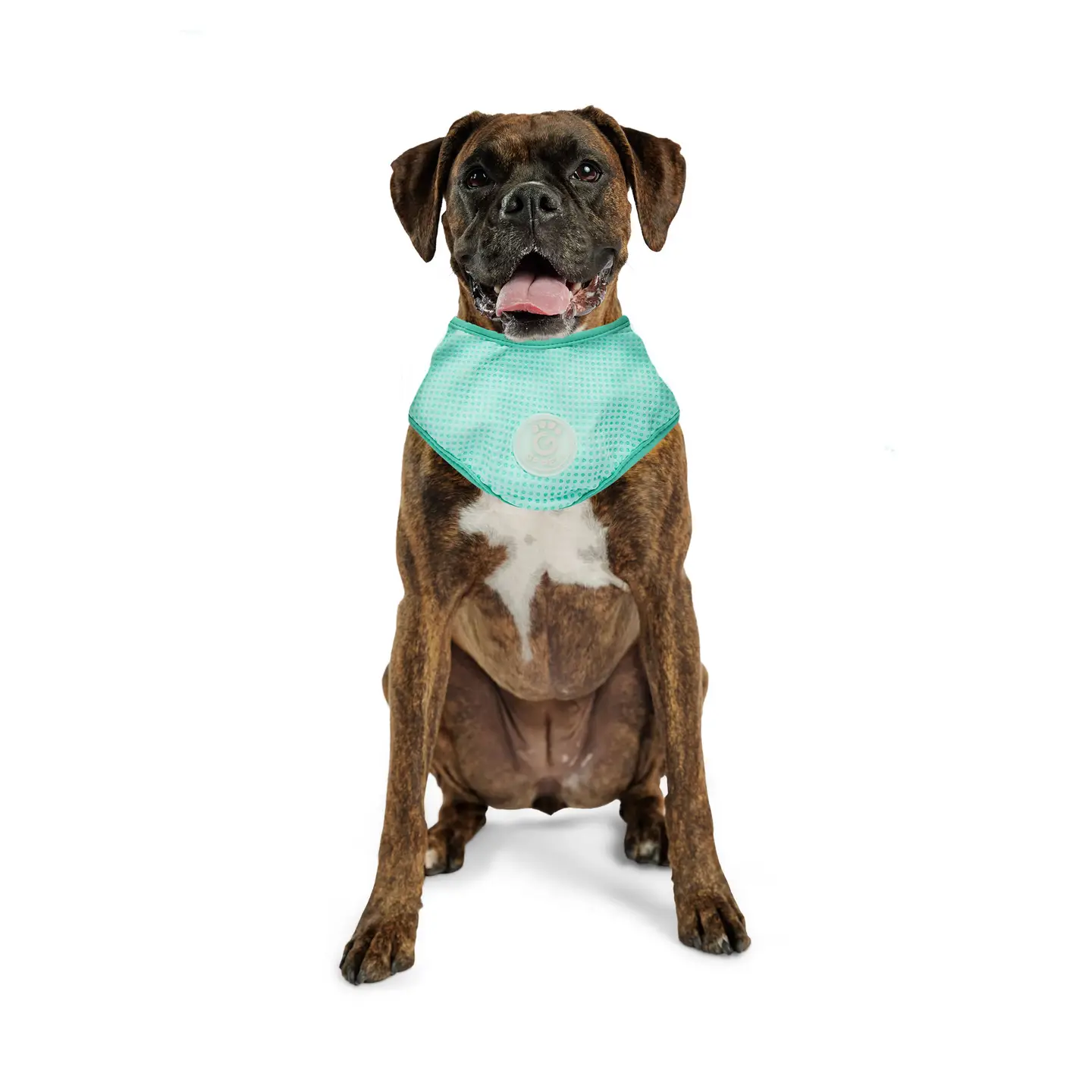 Ice Band - Dog Cooling Bandana - Aqua