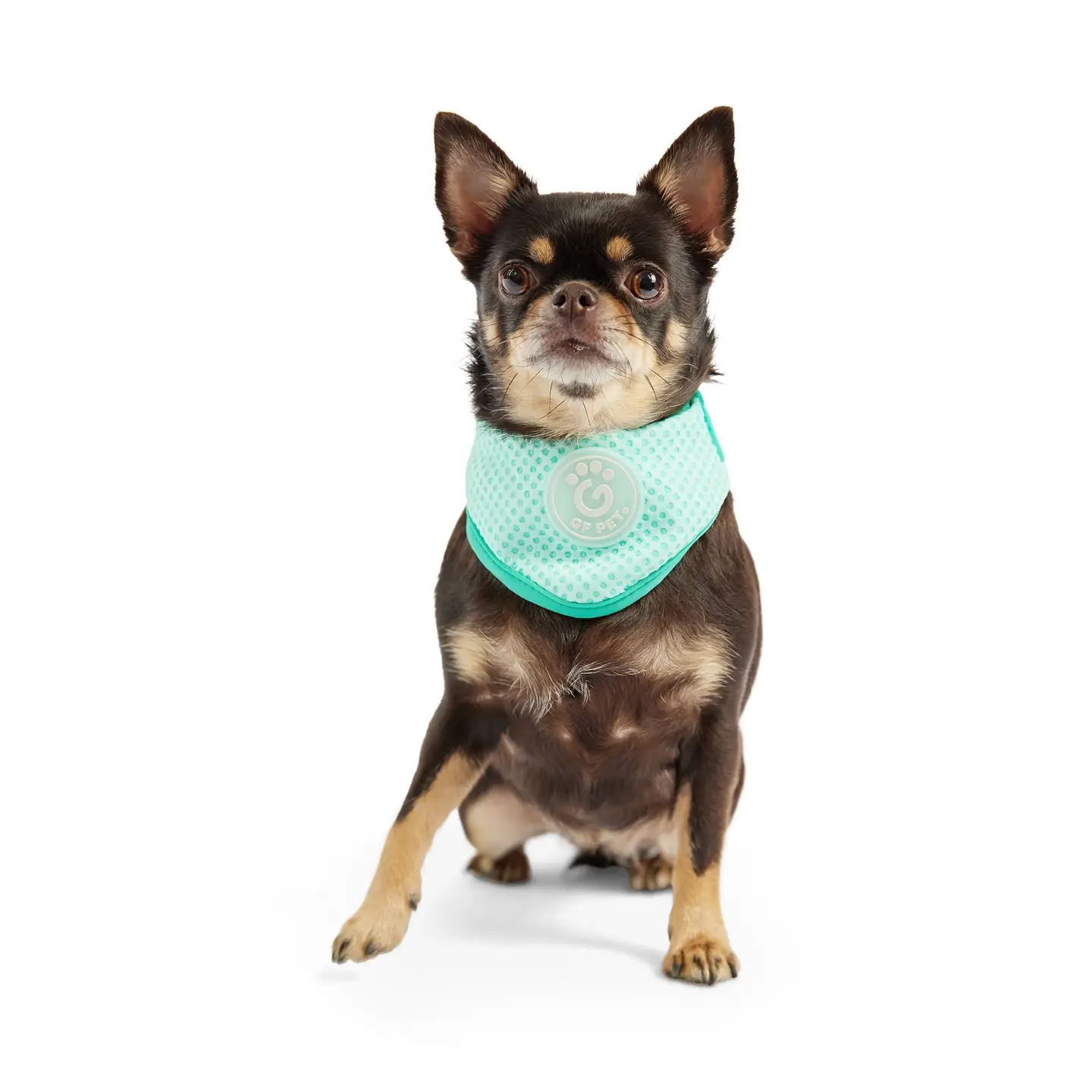 Ice Band - Dog Cooling Bandana - Aqua