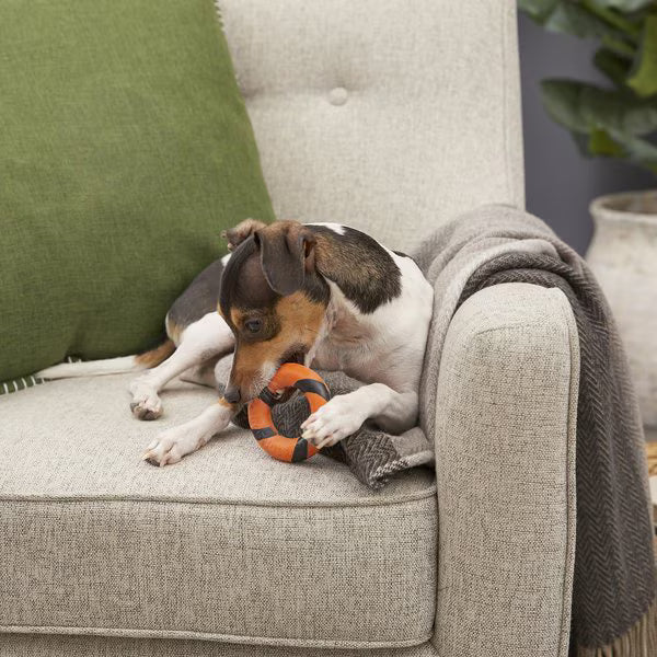 Lite Bite Ring, Orange