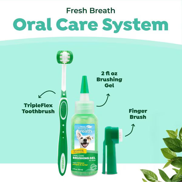 Fresh Breath Oral Care Kit Small