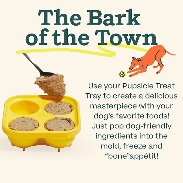Pupsicle Treat Tray Mold Treat Dispenser, 2 sizes