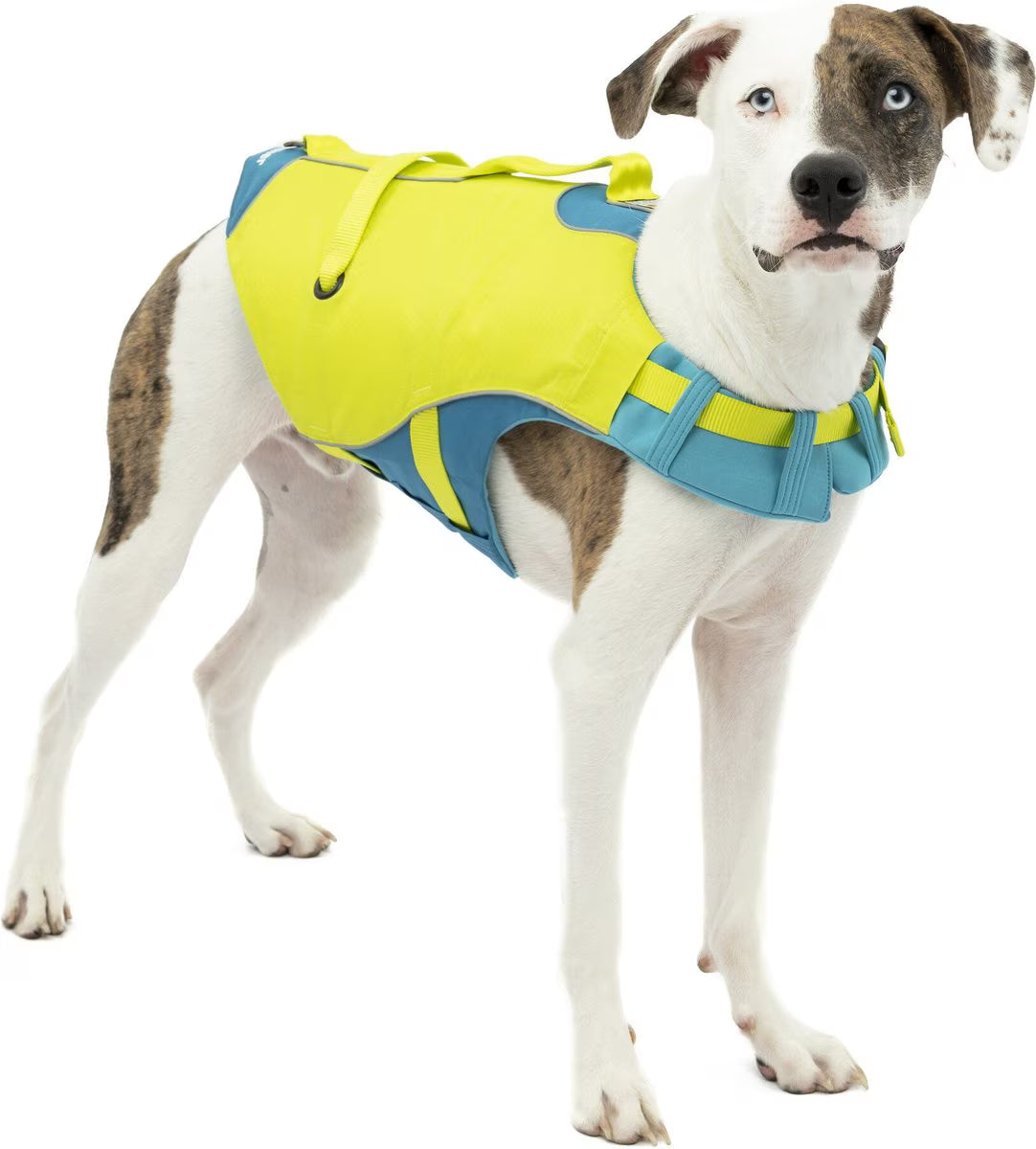 Surf n Turf Life Jacket, Kurgo