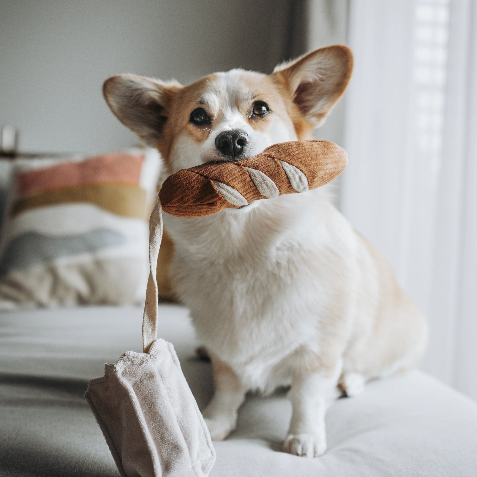 Mini Baguette Snuffle Toy