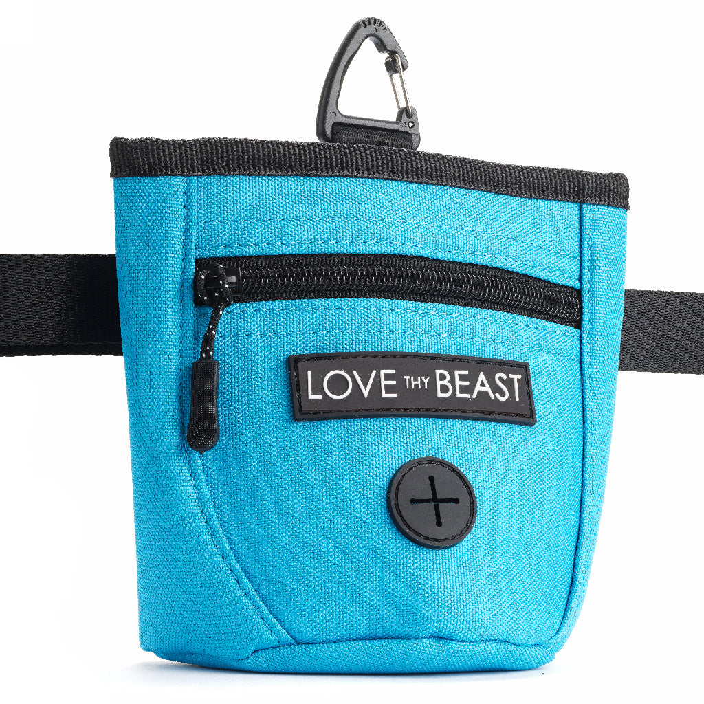 Turquoise Treat Training Pouch