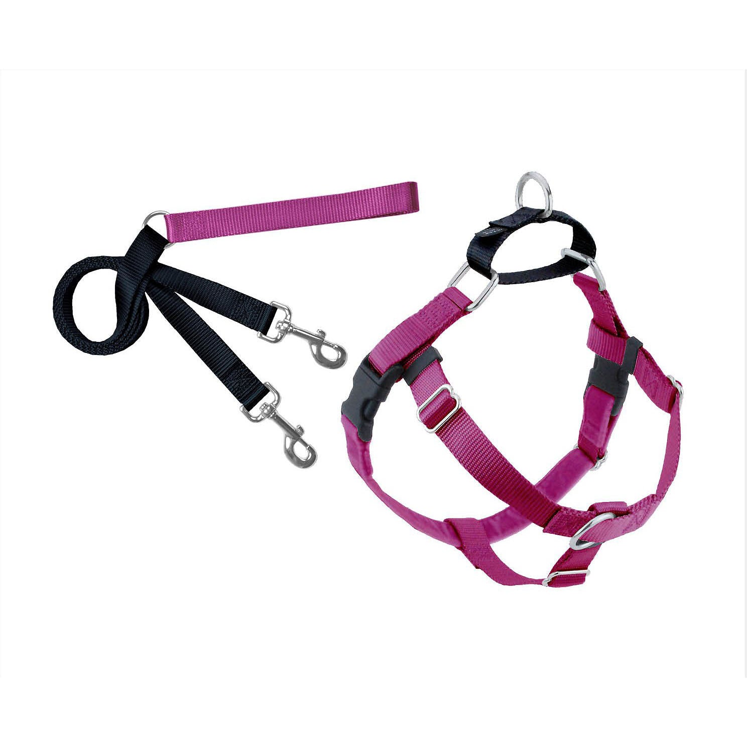 Raspberry Freedom Harness & Leash