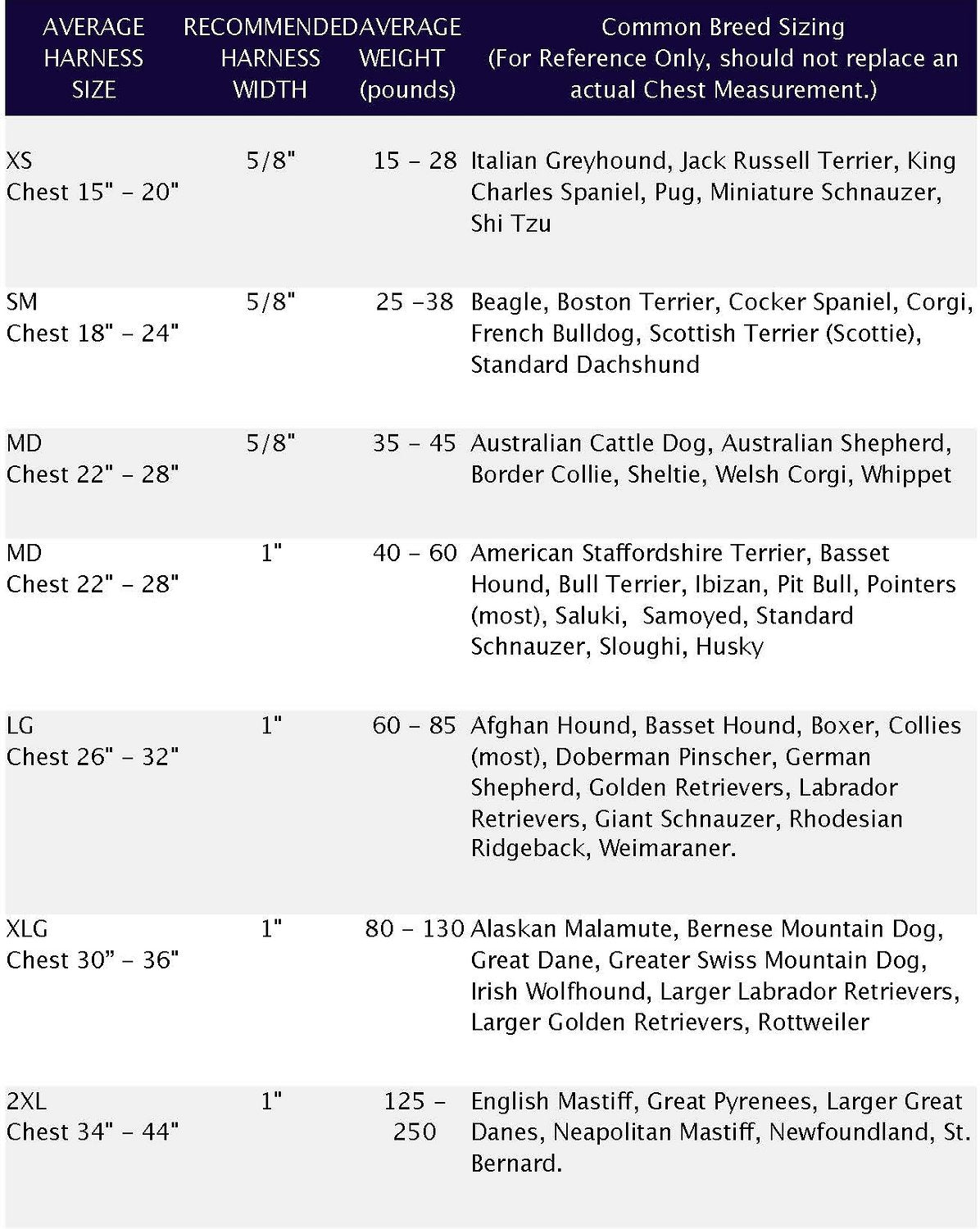 Black Freedom Harness & Leash