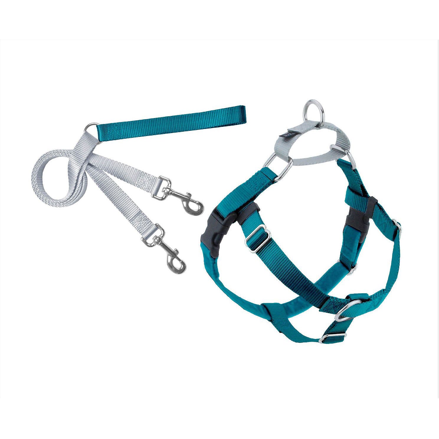 Teal Freedom Harness & Leash