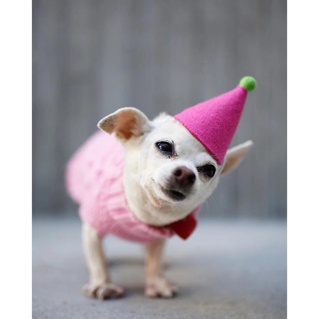 Party Hat, Pink