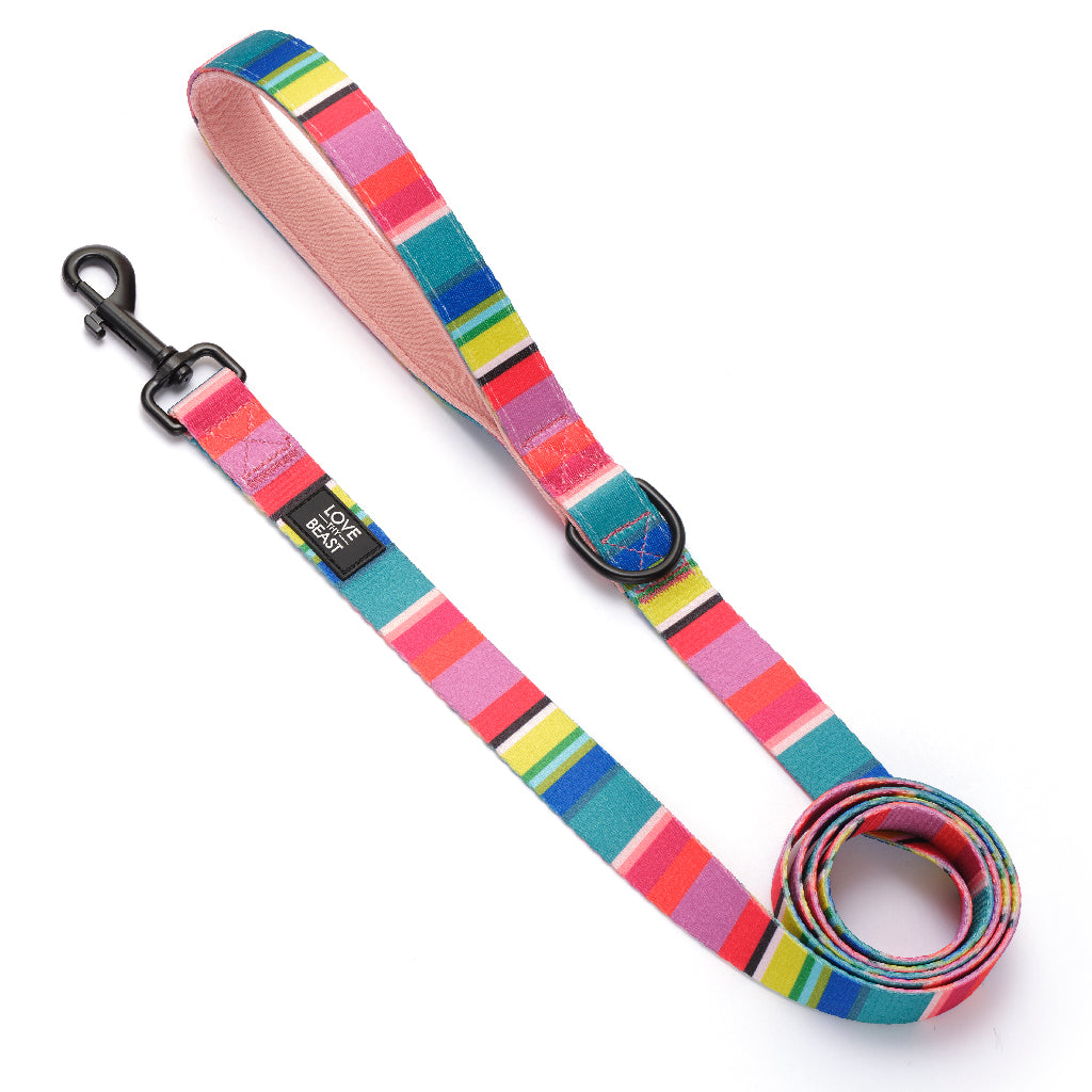 Happy Stripe Leash