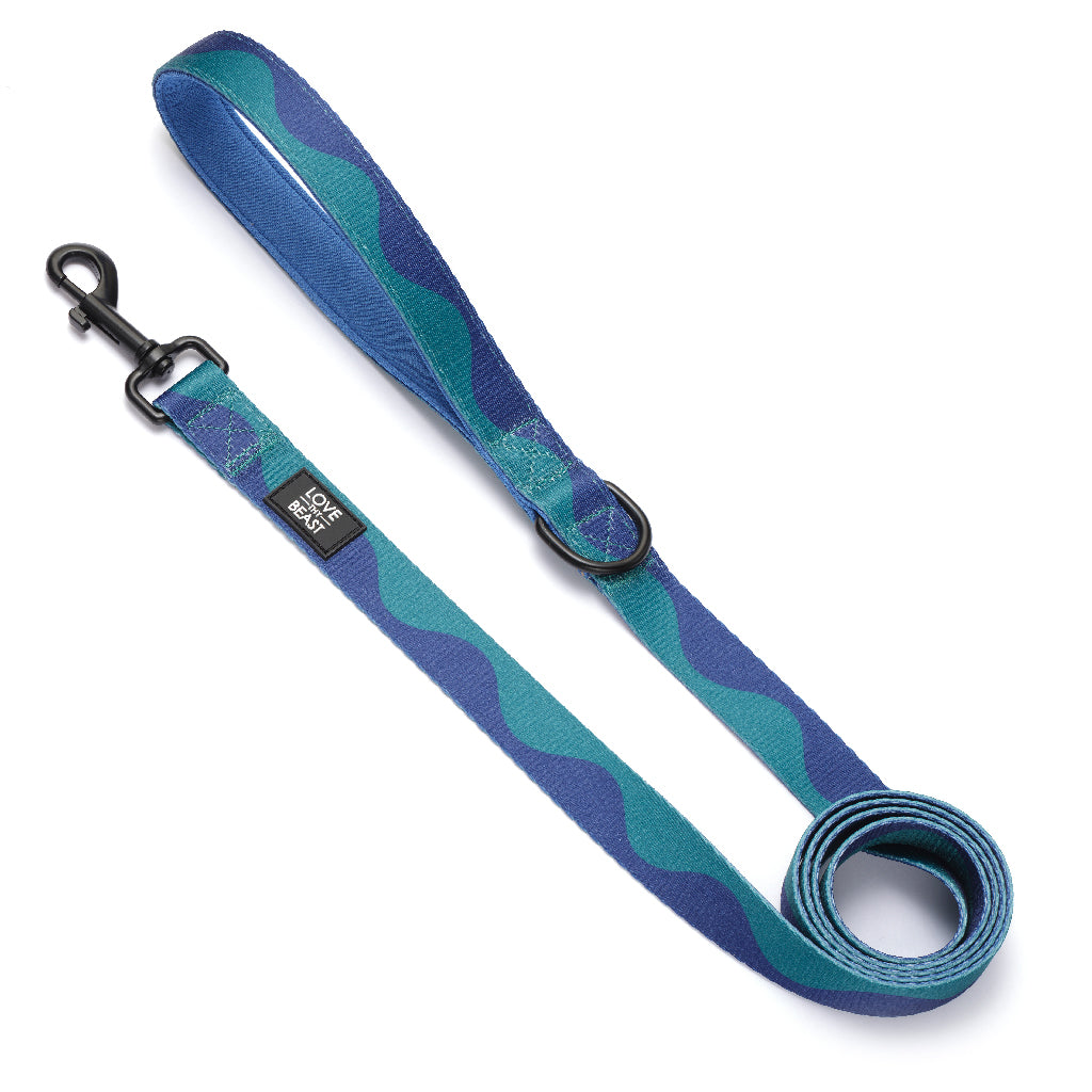 Loop Leash - Blue