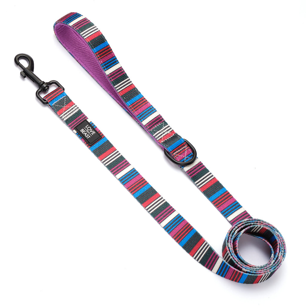 Retro Stripe Leash - Purple