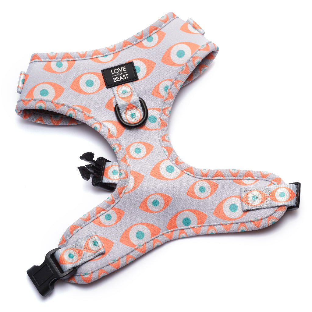 Evil Eye Harness - Orange