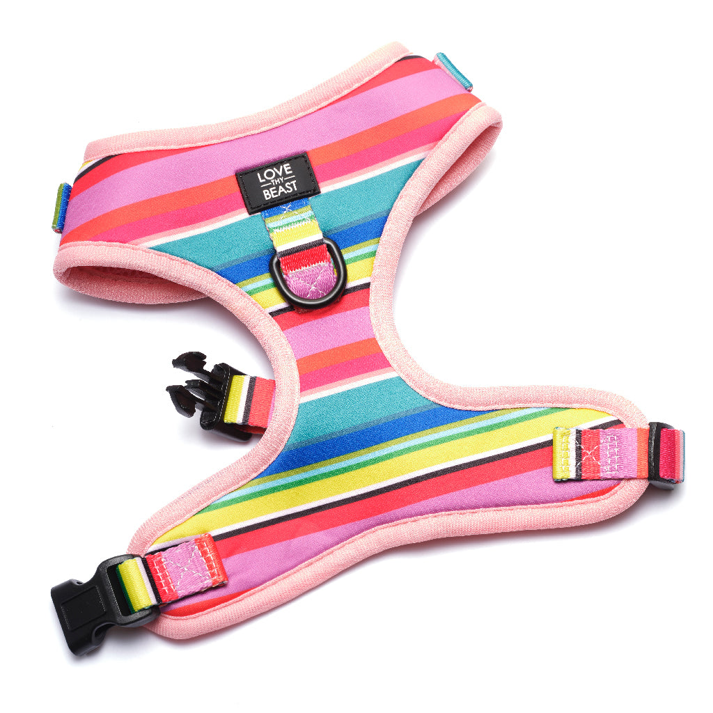 Happy Stripe Harness