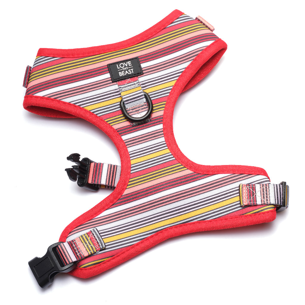 Retro Stripe Harness - Red