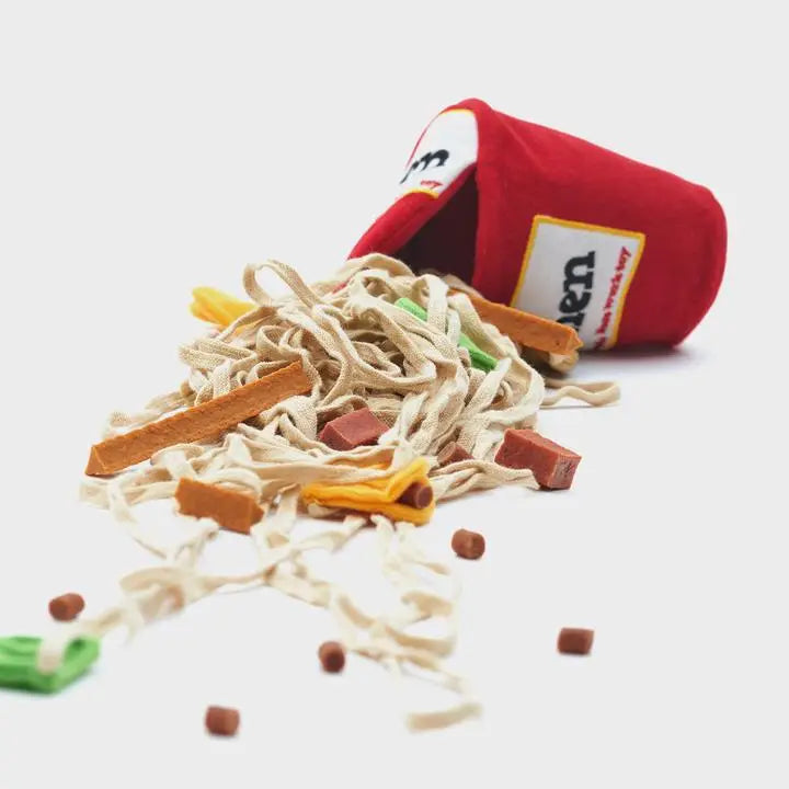 Ramen Noodle Toy