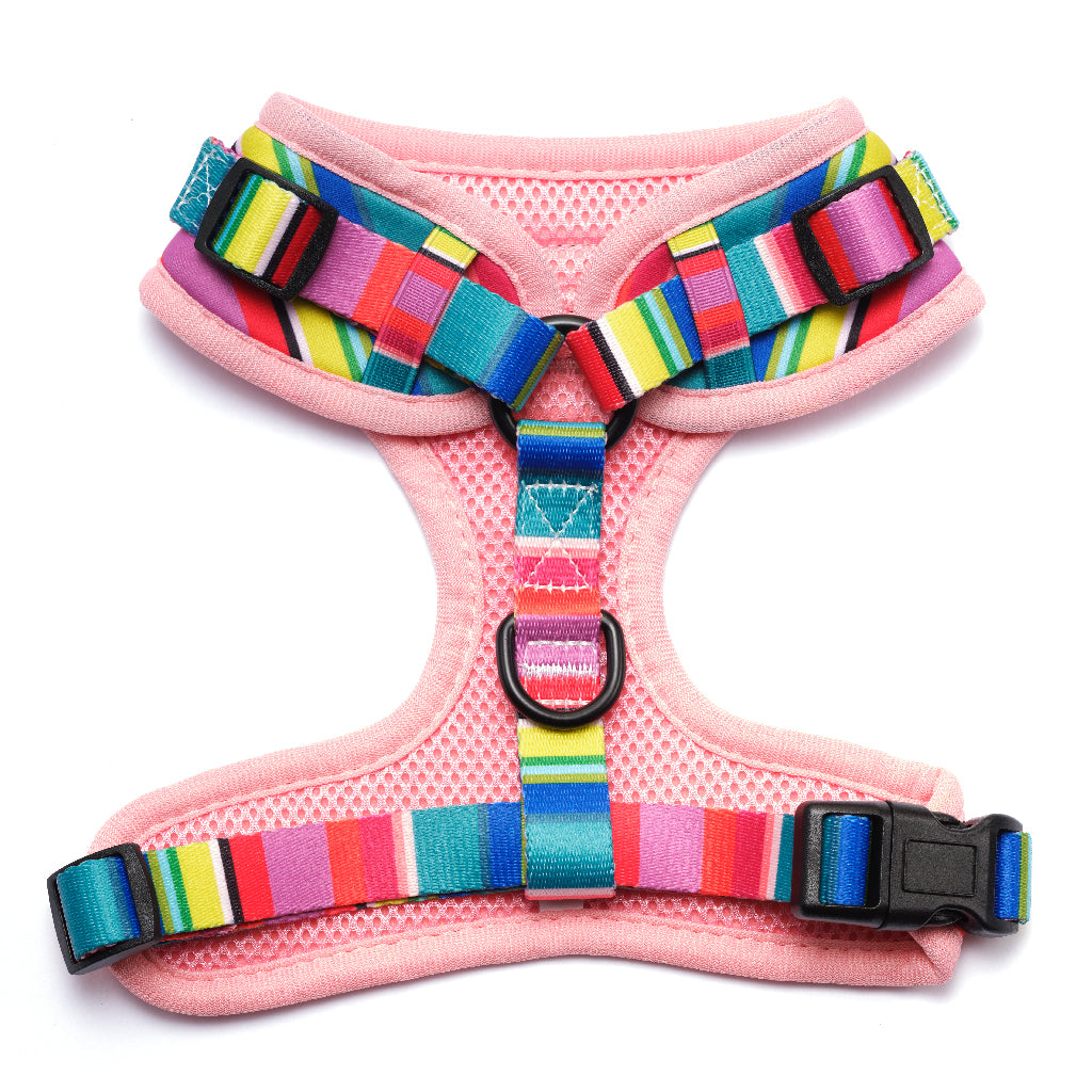 Happy Stripe Harness